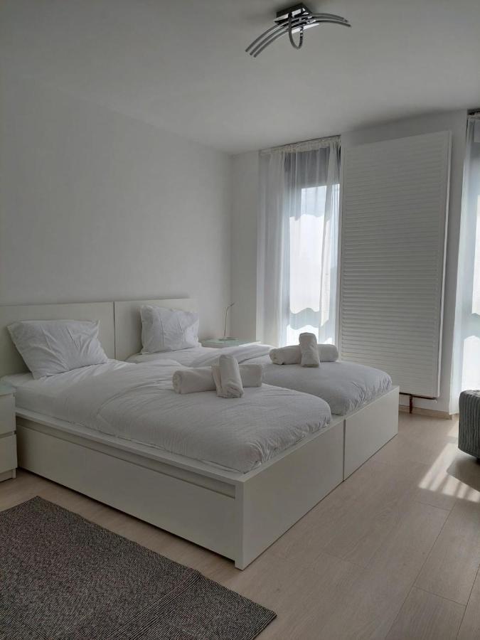 Casa Maria City Apartments Timisoara Esterno foto